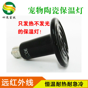 探尋寵物蜂產(chǎn)業(yè) 從價格、采購到供應商的全面解析
